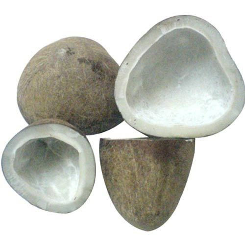 Coconut Dry Copra