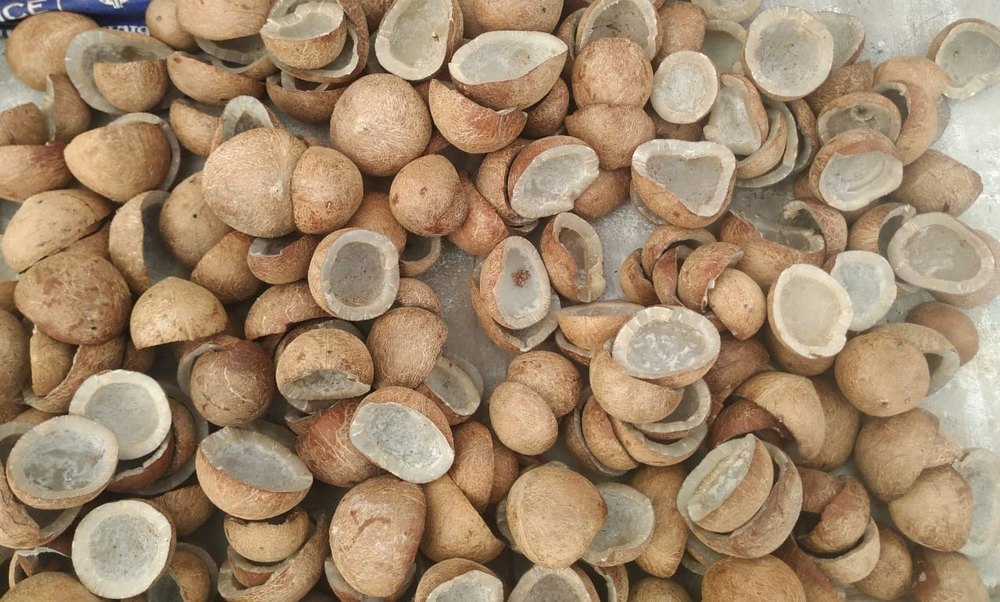 Well Dried Sundried Coconut Halfcut Copra, For Food And Oil Extraction, Packaging Size: 25kg