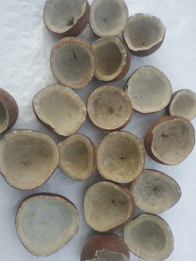 Brown Fresh Dried Coconut, Packaging Size: 20 Kg