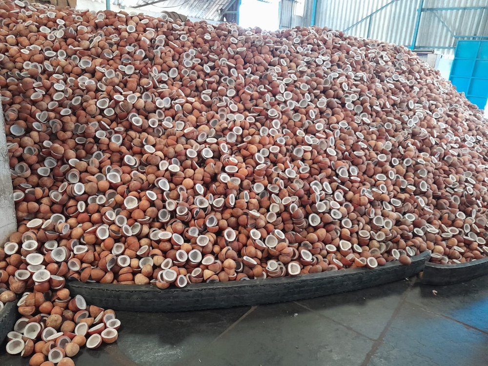 Brown Dry Coconut Copra for Export, For Edible And Cooking, Packaging Type: Plastic Box