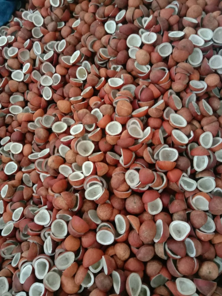 Dry Edible Copra - Jodhpur Quality, Packaging Type: Vacuum Bag, Packaging Size: 25 Kilos PP Bag