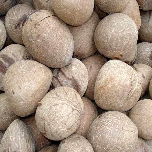 Boll Dried Coconut Ball Copra, For Eat, Packaging Size: 25 kg Bag