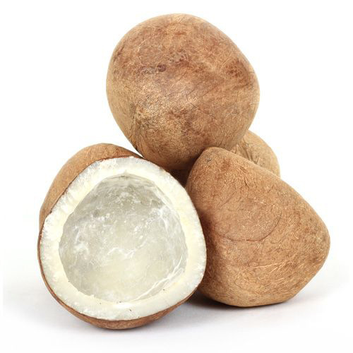 Dry Coconut Copra