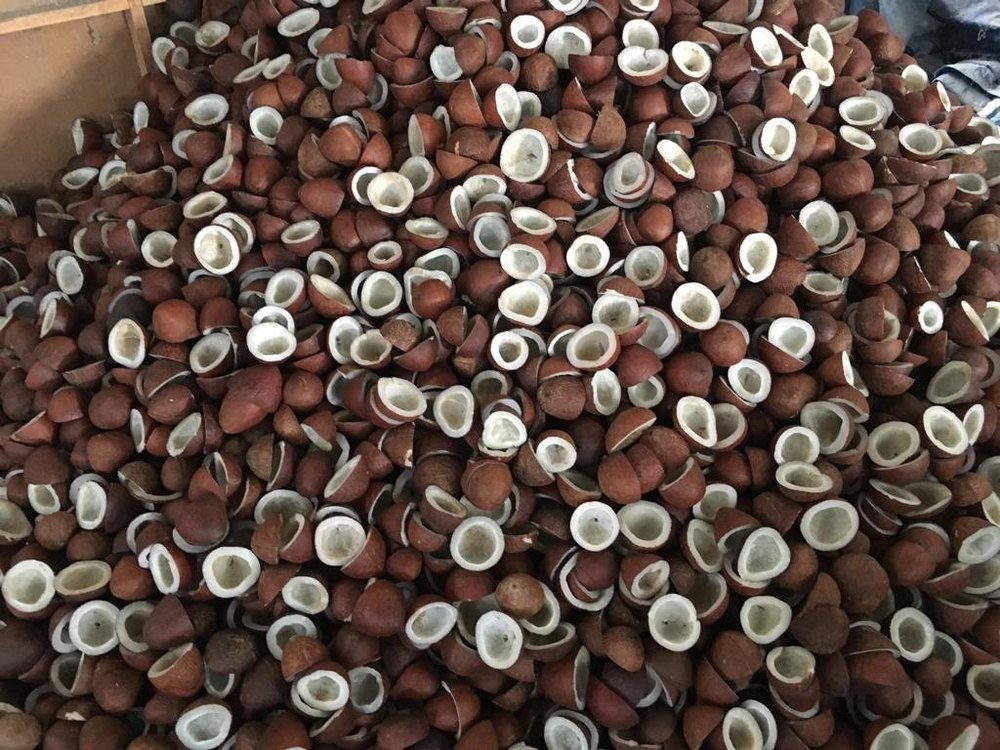 Natural White Dried Coconut Copra Halves, Packaging Type: PP Bag