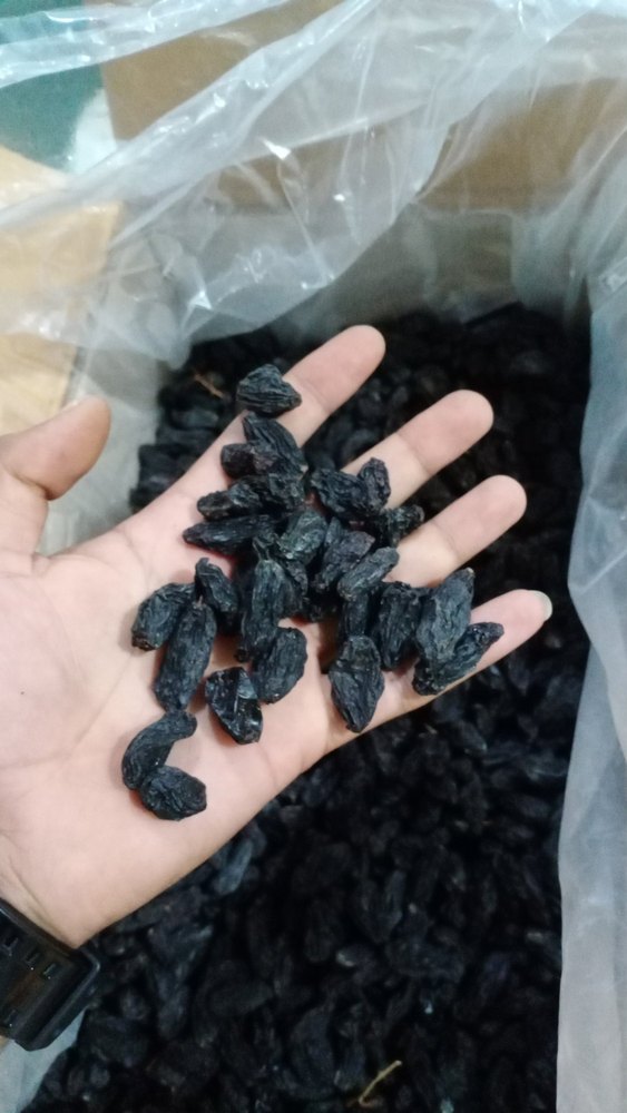 Loose Black Kishmish, Packaging Type: Plastic Box, Packaging Size: 10 kg Upto
