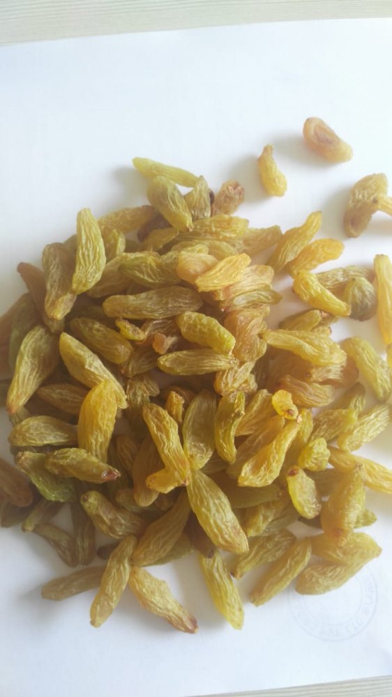 Golden Loose Raisins, Packaging Type: Carton Box