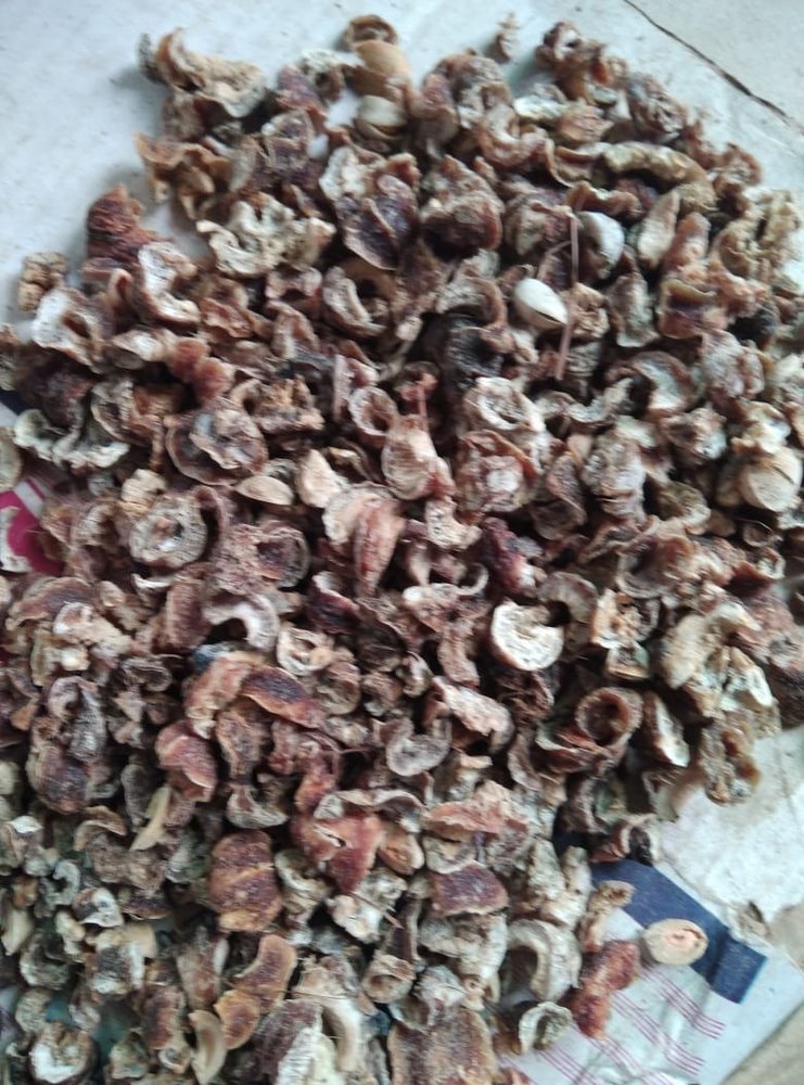 Indian Dry Amla Phyllanthus Emblica, Packaging Size: 50/60kg, Packaging Type: Jute Bag