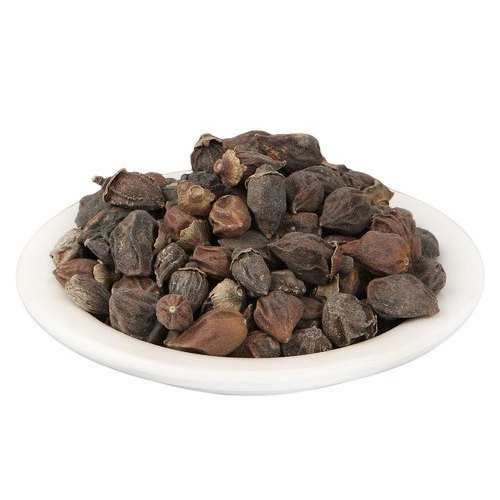 A Grade Lasora Seed, 50 Kg, Packaging Type: Pp Bag