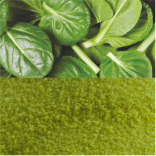 Spray Dried Spinach Powder