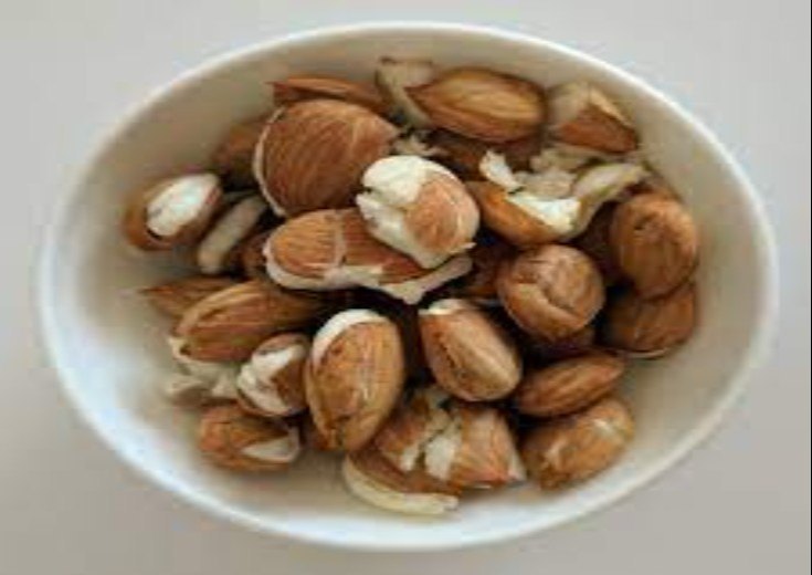 Apricot Kernel, Packet, Packaging Size: 1 kg