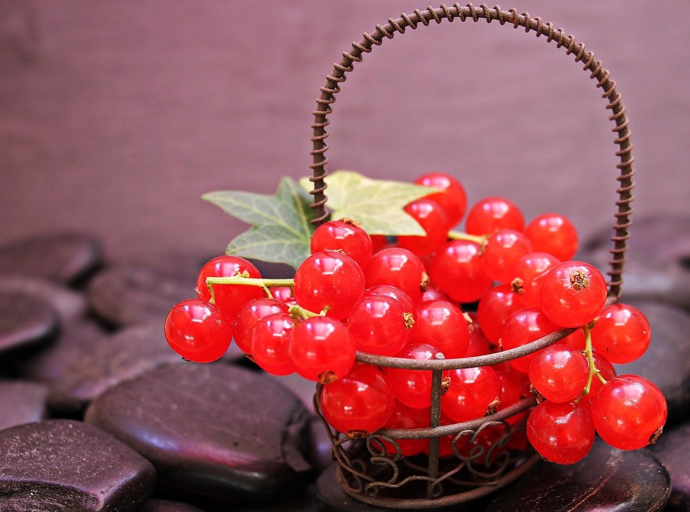 Fresh Red Currants - 125 gram, Packaging Type: Punnet