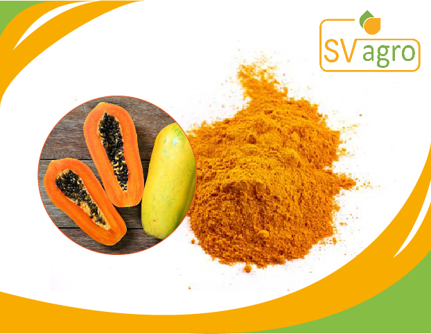 Spray Dried Papaya Powder