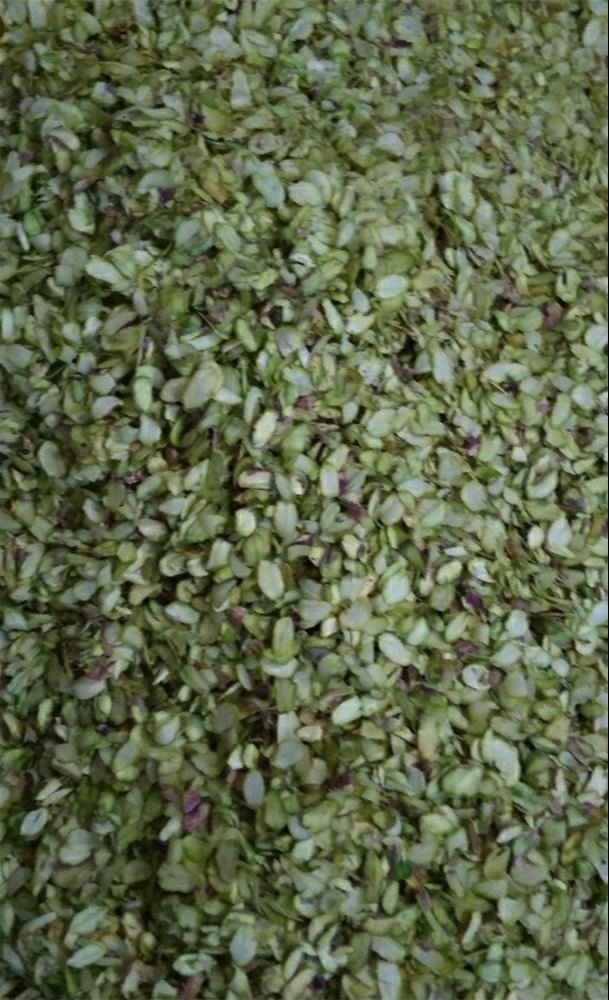 Natural Pistachio Slice, Packaging Type: Loose