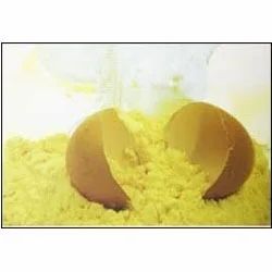 Pasteurized Eggs Powder