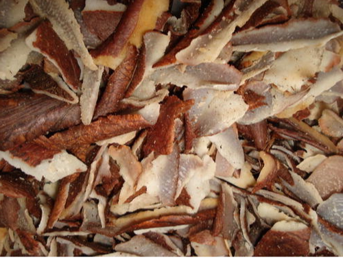 Mature Coconut Paring / Peeling