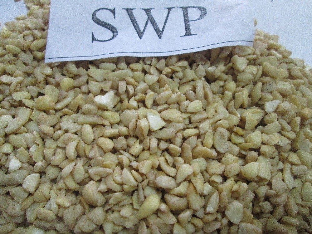 Raw SWP Cashew Nuts