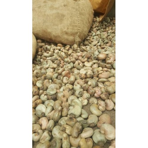 Raw Cashew Nuts