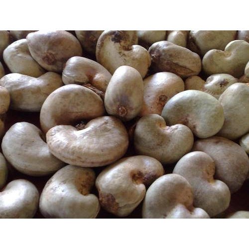 Organic, Raw Raw Organic Cashew Nuts