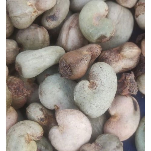 Organic Benin Raw Cashew Nuts