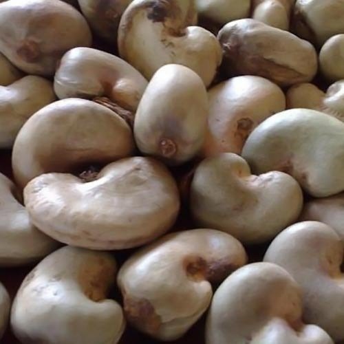 Whole RAW CASHEW NUTS BENIN, 81 KG Jute Beg