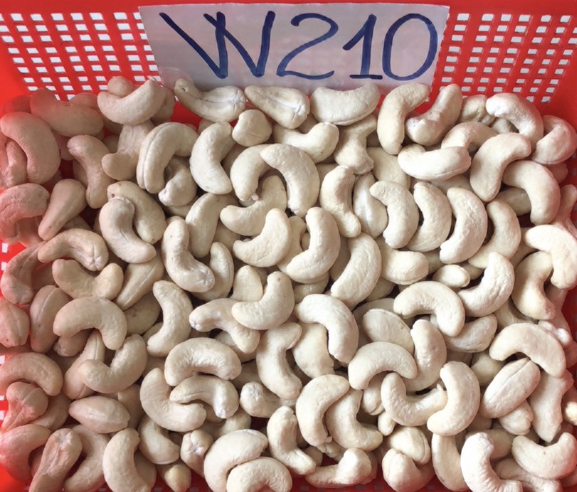 W210 Cashew Nut, Packaging Type: Tin, Packaging Size: 10 kg