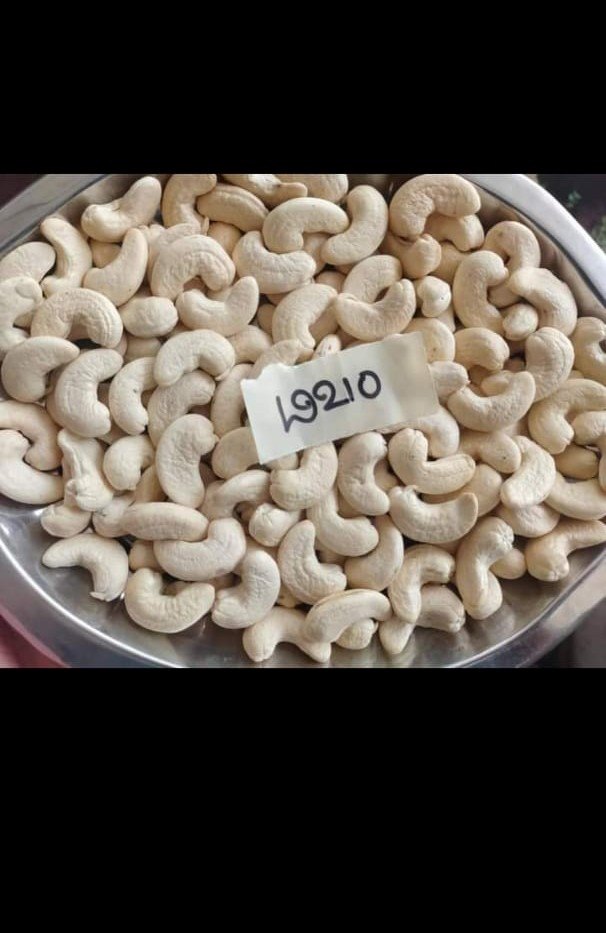 Whole Organic Cashew, W210
