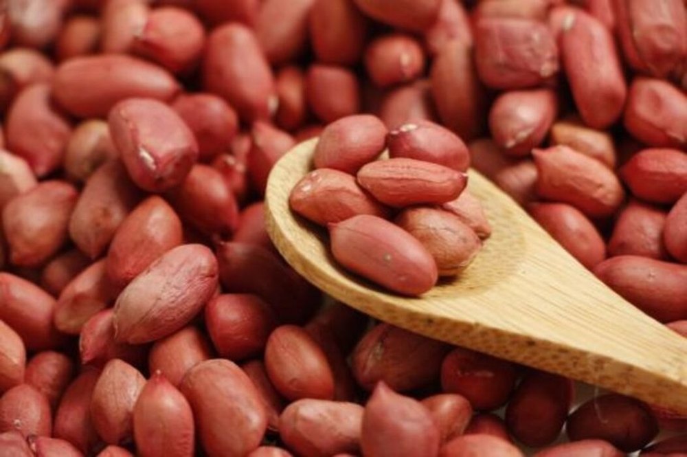 Natural Groundnut Seed