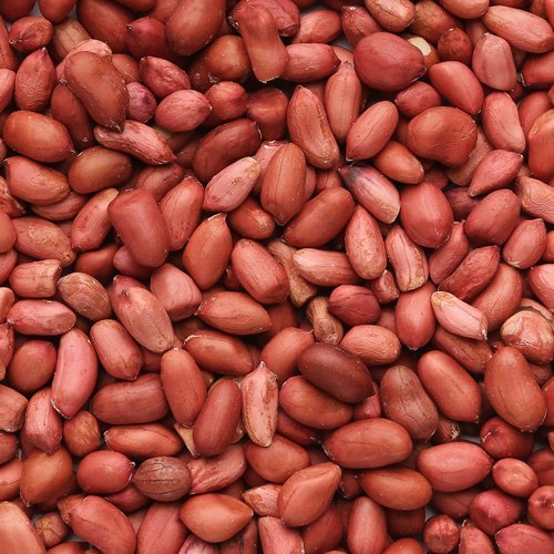 Natural Groundnut Seeds, Packaging Type: Sacks, Packaging Size: 50Kg