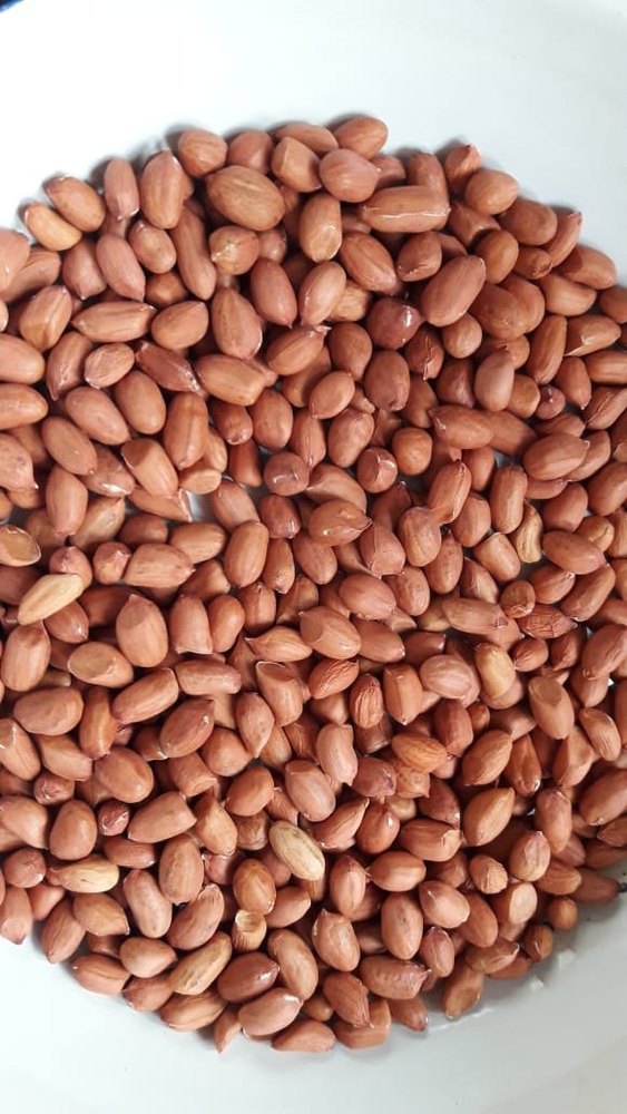 Groundnut Seed