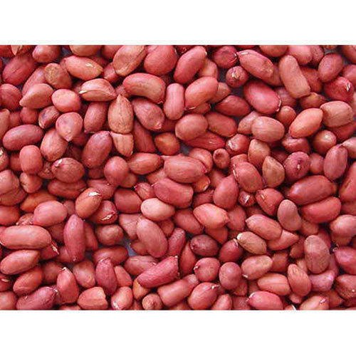 G20 Bold Groundnut seeds for Oil, Packaging Size: 50