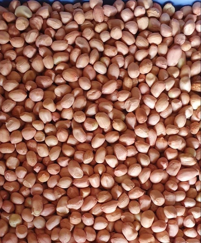Whole Groundnut Seed