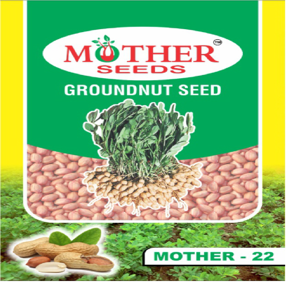 Whole Groundnut Seed/ Peanut/ Singdana