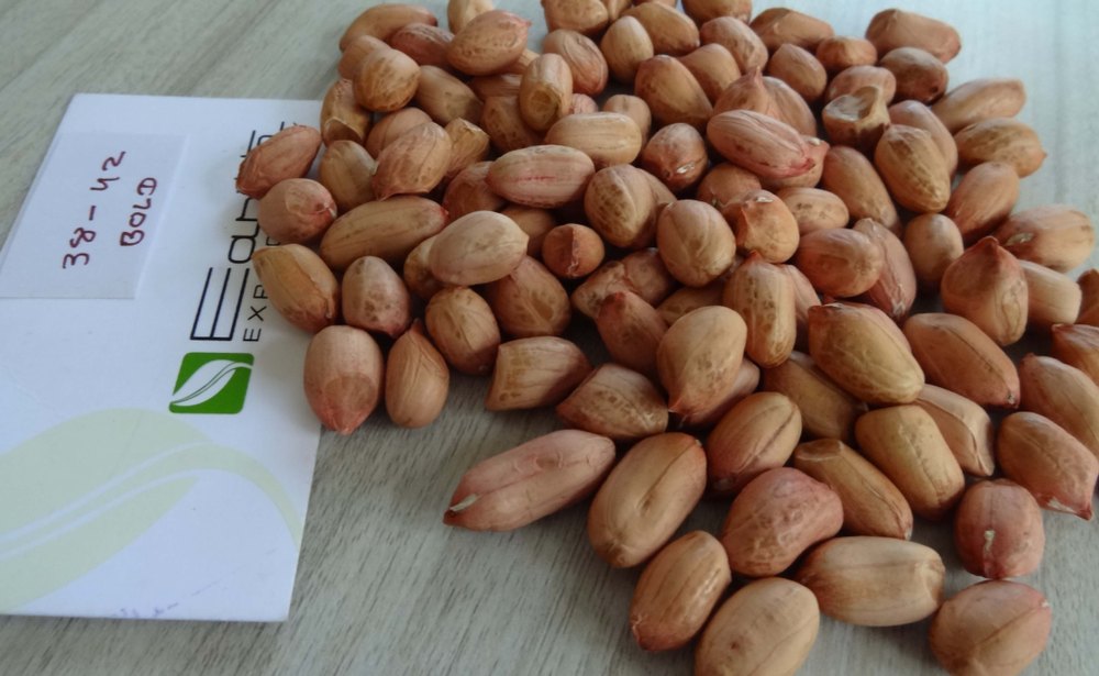 Bold Peanut