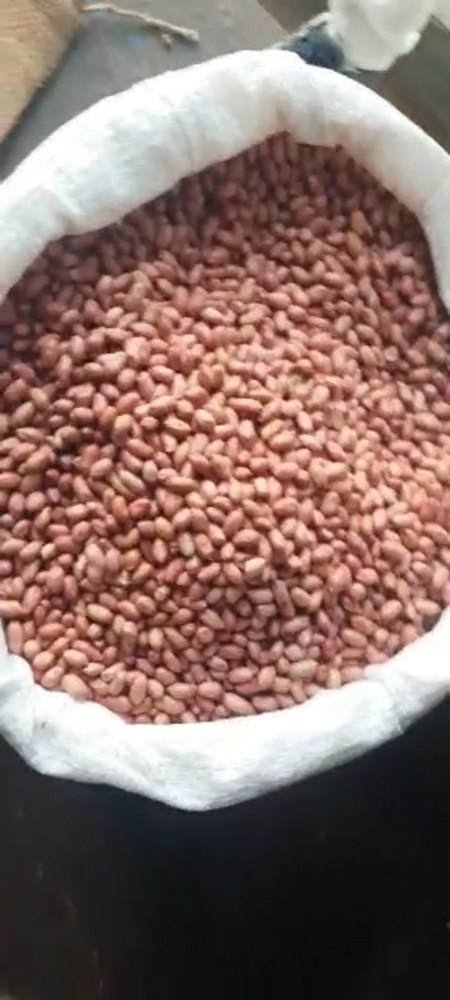 Peanut Java 5060, Packaging Size: 500g