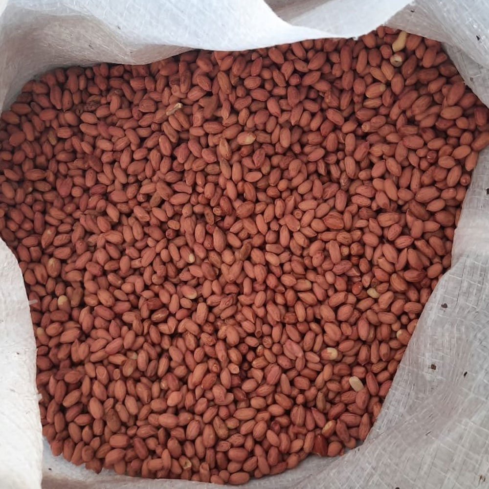 Natural Groundnut Kernels