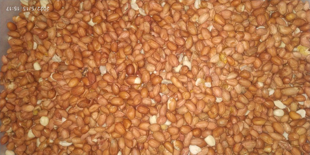 Groundnut Kernels, Tamil Nadu, Packaging Type: Sacks