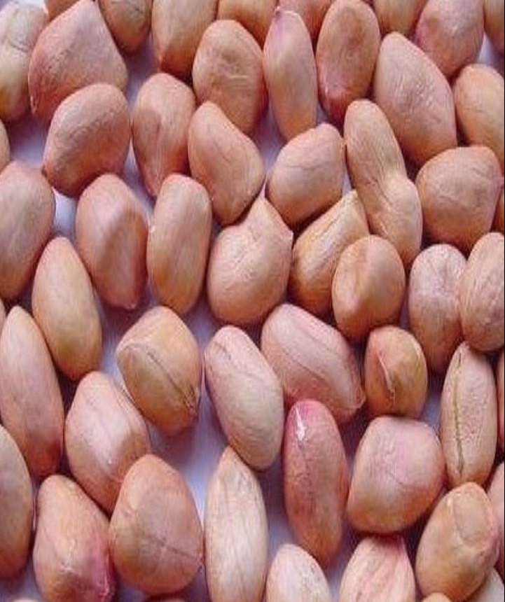 Tag 24 Fresh Peanut, Packaging Size: 50 Kg