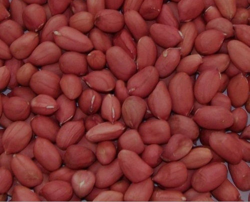 Groundnut Kernels Peanuts, Packaging Size: 1