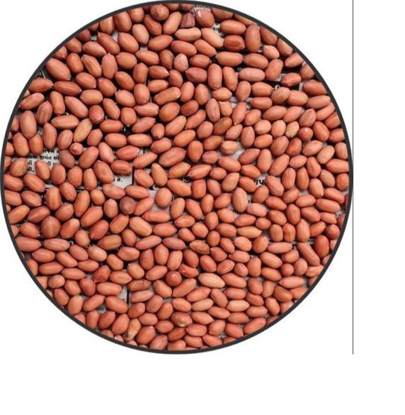 Peanut Kernel, Packaging Size: 50kg