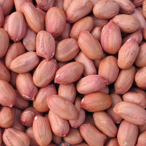Organic Groundnut