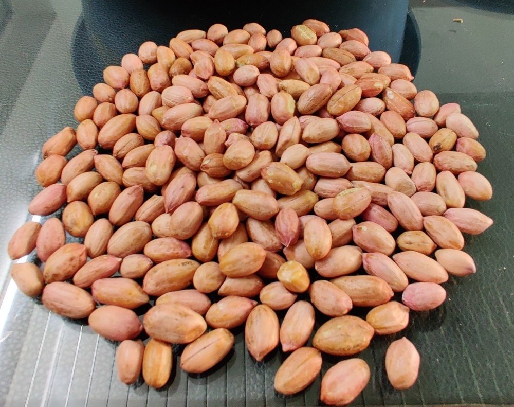 Peanut Kernel