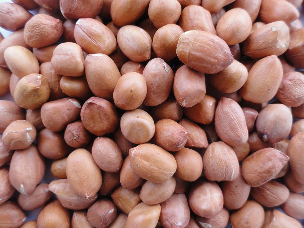 Groundnut Kernels
