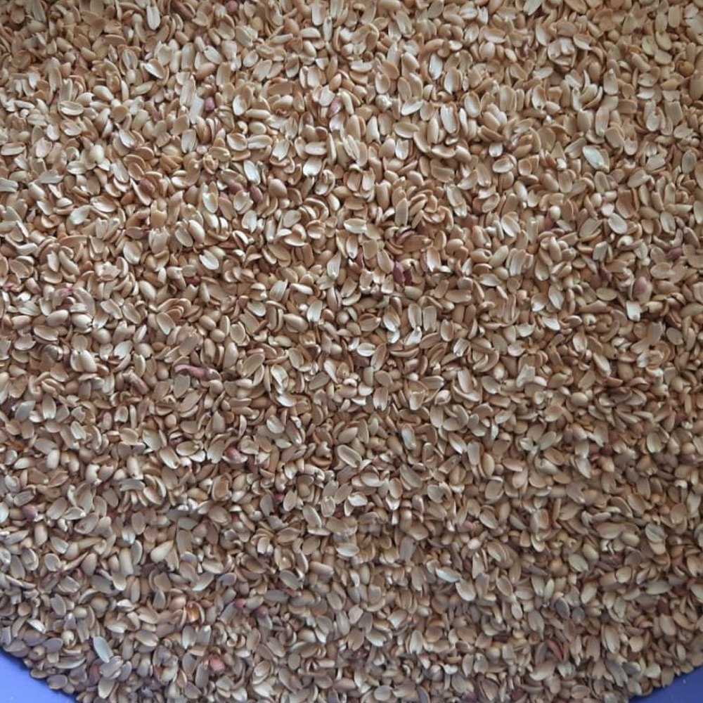 Dried Split Blanched Peanut