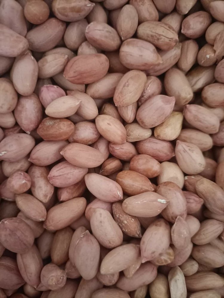 Natural Groundnut Seed