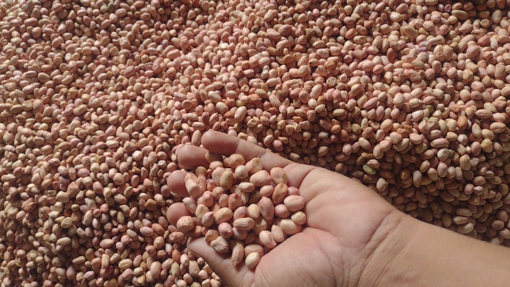 Peanuts, Packaging Type: Sacks, Packaging Size: 50