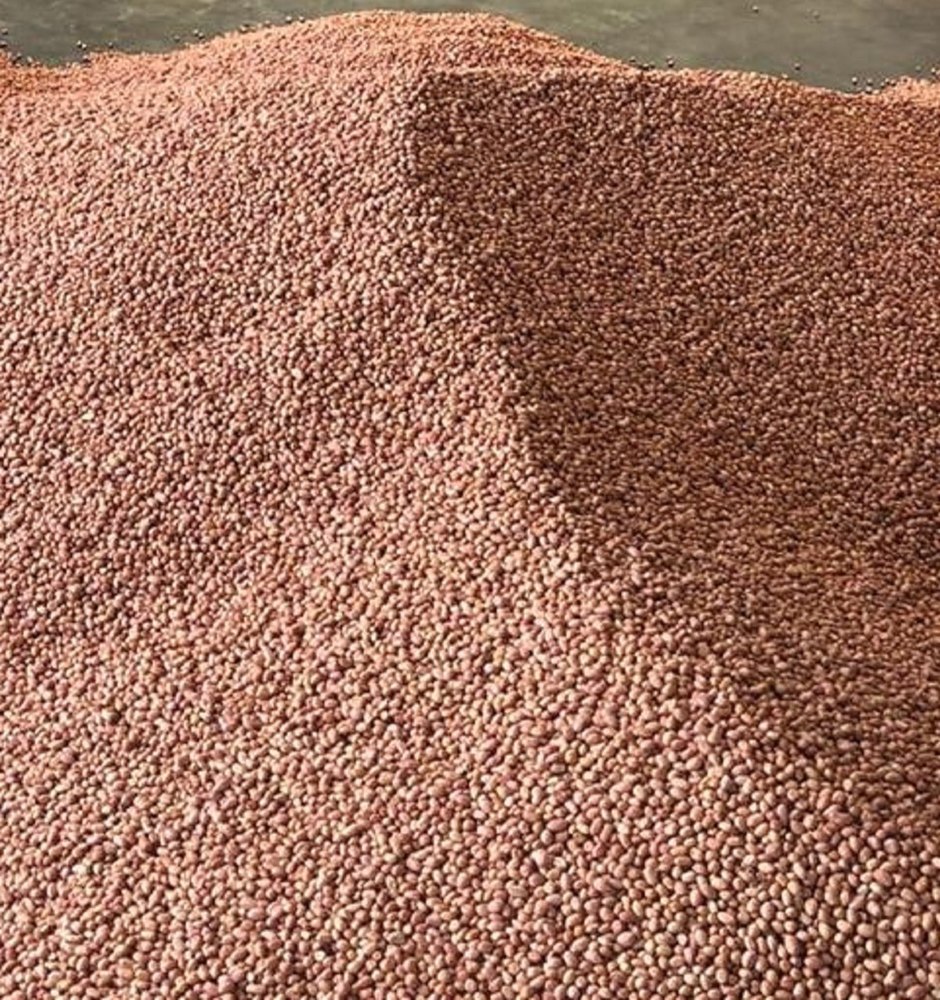 Blanched Groundnut Kernel, Packaging Type: Vacuum Bag, Packaging Size: 20 Kg