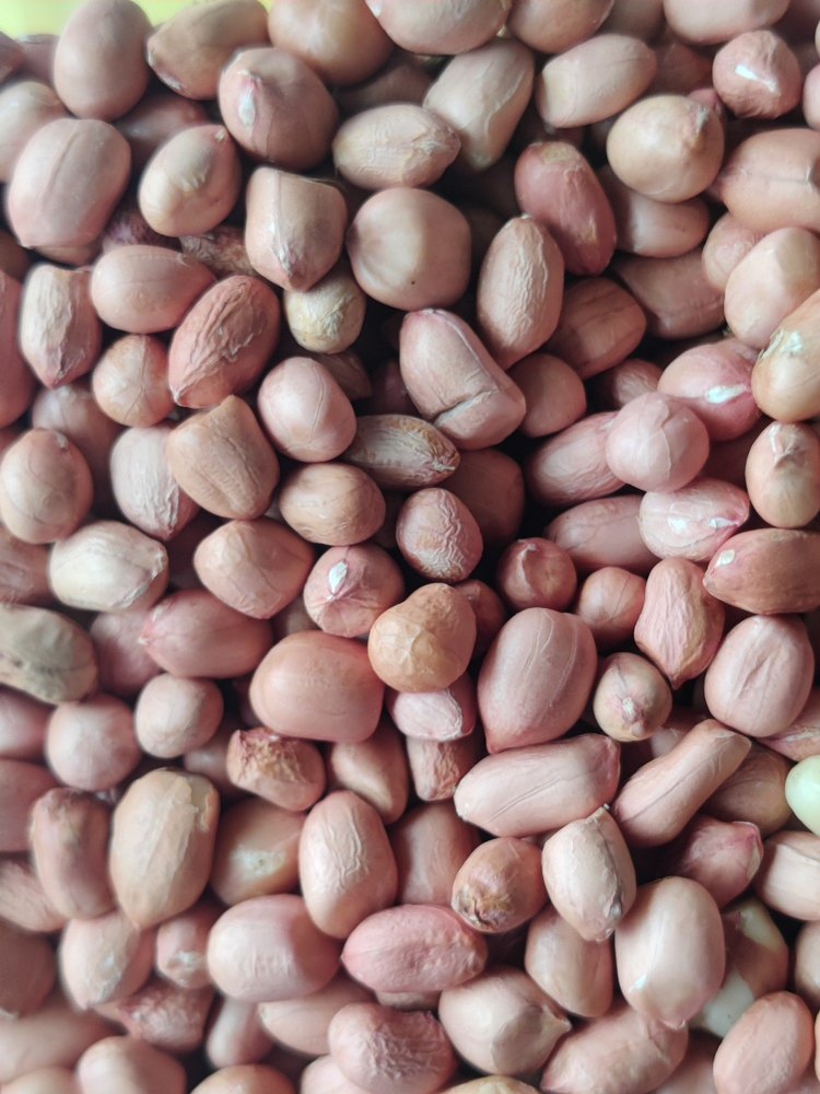Red Raw Peanut