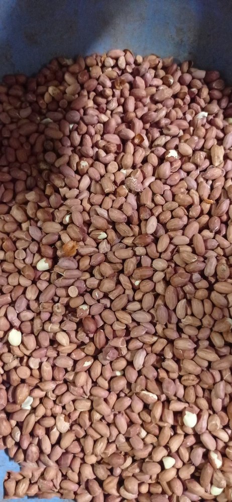 Raw Red Peanut, Packaging Type: PP Bag, Packaging Size: 50 Kg