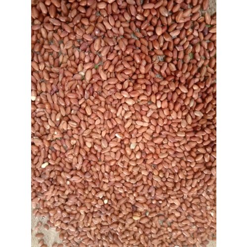 Raw Red Peanut, Packaging Type: Bag, Packaging Size: 30 Kg