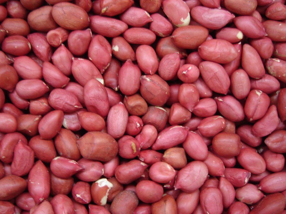 Peanut